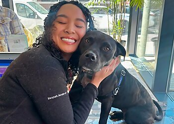 Jersey City Veterinary Clinics Sage Veterinary Center