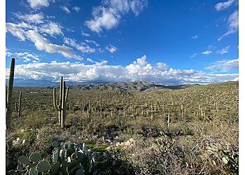 Tucson Hiking Trails Saguaro National Park
