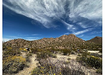 Tucson Hiking Trails Saguaro National Park