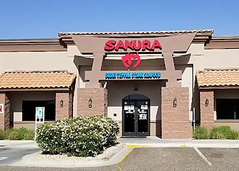 Surprise Sushi Sakura Sushi Teppan