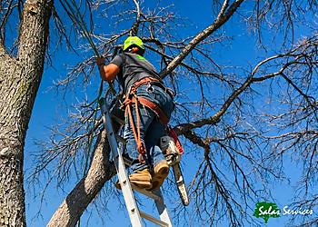 Salas Services LLC - Irving, TX Tree Services - Team Working Image