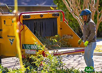 Salas Services LLC - Irving, TX Tree Services - Outdoor Work Image