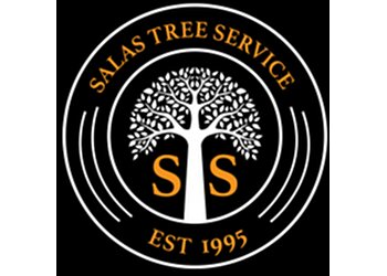 Bakersfield Tree Services Salas Tree Service