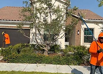 Bakersfield Tree Services Salas Tree Service