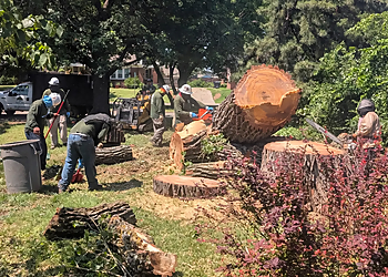 Salas Tree Service  - Oklahoma City, OK Tree Services - Team Working Image