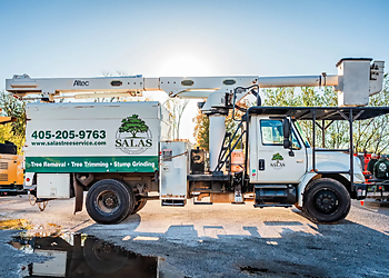 Salas Tree Service  - Oklahoma City, OK Tree Services - Service Vehicle Image