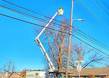 Oklahoma City Tree Services Salas Tree Service , LLC