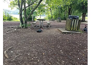 Winston Salem Hiking Trails Salem Lake Trail