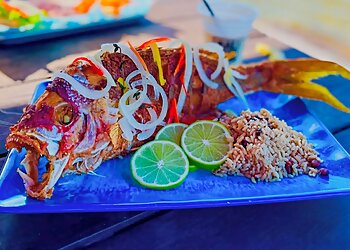Salt Shack On The Bay Tampa Seafood Restaurants image 1