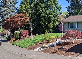 Bellevue Landscaping Companies Saltos Landscaping