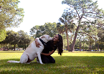 Sam Ivy Sam Ivy - Tampa, FL Dog Training - Work Image