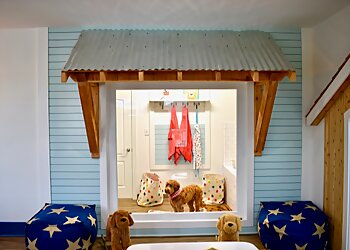 Montgomery Kids Dentists Samuel Bush, DMD - BUSH PEDIATRIC DENTISTRY