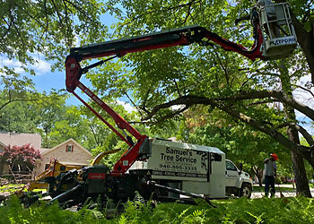 Denton Tree Services Samuels Tree Service, LLC