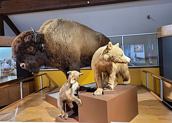 San Bernardino Places To See San Bernardino County Museum