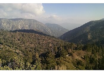 San Bernardino Hiking Trails San Bernardino National Forest