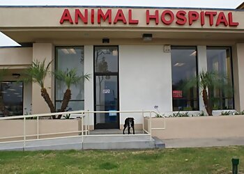 San Diego Bay Animal Hospital San Diego Veterinary Clinics image 1