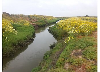 Chula Vista Hiking Trails San Diego Bay National Wildlife Refuge