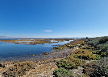 San Diego Bay National Wildlife Refuge Chula Vista Hiking Trails image 1