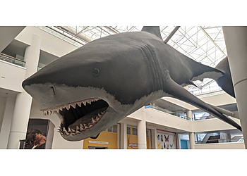 San Diego Museums San Diego Natural History Museum