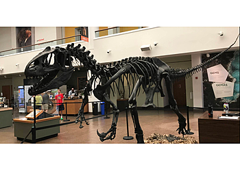 San Diego Museums San Diego Natural History Museum