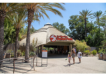 San Diego Zoo Safari Park Escondido Places To See