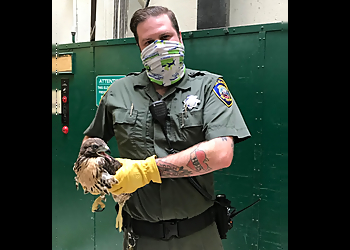 San Francisco Animal Removal San Francisco Animal Care and Control