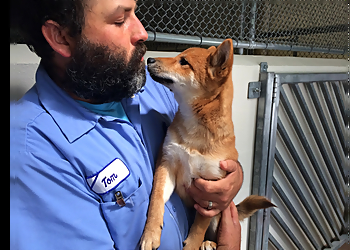 San Francisco Animal Removal San Francisco Animal Care and Control
