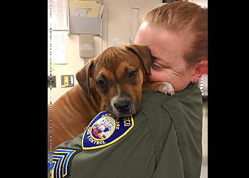 San Francisco Animal Removal San Francisco Animal Care and Control