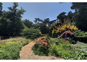 San Francisco Botanical Garden - San Francisco, CA Places To See - Sightseeing Image
