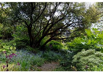 San Francisco Botanical Garden - San Francisco, CA Places To See - Nature Image