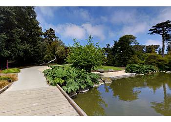 San Francisco Botanical Garden San Francisco Botanical Garden - San Francisco, CA Places To See - Tourist Spot Image