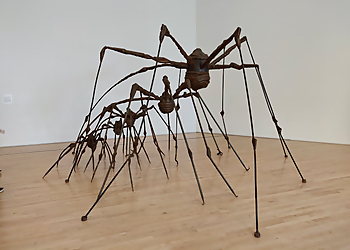 San Francisco Places To See San Francisco Museum of Modern Art