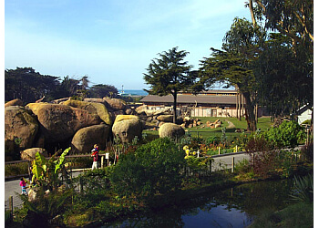 San Francisco Zoo San Francisco Places To See