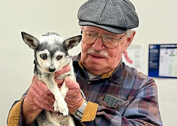 San Jose Veterinary Clinics San Jose Animal Hospital