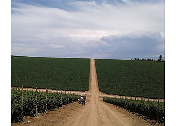 Oceanside Hiking Trails San Luis Rey River Trail
