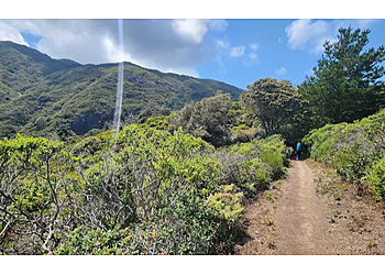 Daly City Hiking Trails San Pedro Valley Park