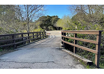 Daly City Hiking Trails San Pedro Valley Park