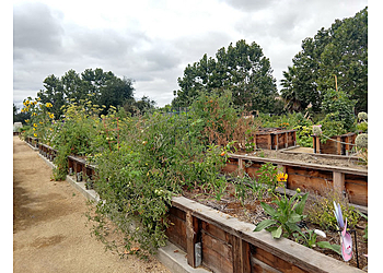 Santa Clara Hiking Trails San Tomas Aquino Creek Trail