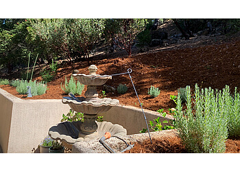 Vallejo Landscaping Companies Sanchez Brother’s Landscaping Inc.