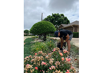 Sandoval Landscaping - Mesquite, TX Landscaping Companies - Service Image