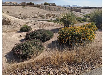 North Las Vegas Hiking Trails Sandstone Ridge Park