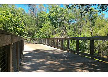 Athens Hiking Trails Sandy Creek Park