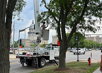 Springfield Tree Services Sangamon Tree Service