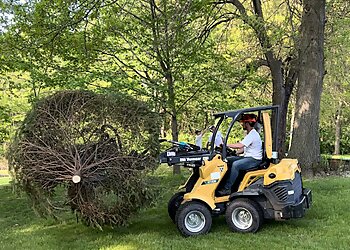 Springfield Tree Services Sangamon Tree Service