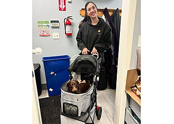 Eugene Veterinary Clinics Santa Clara Animal Hospital