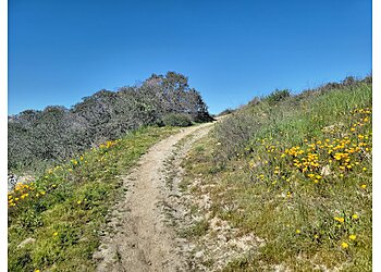 Oceanside Hiking Trails Santa Margarita River Trail Preserve