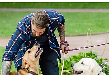 Sapphire & Co. Pet Sitting Services, LLC Sapphire & Co. Pet Sitting Services, LLC - Jacksonville, FL Dog Walkers - Professional Highlights