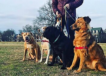 Richmond Dog Walkers Sarah Sits-N-Stays