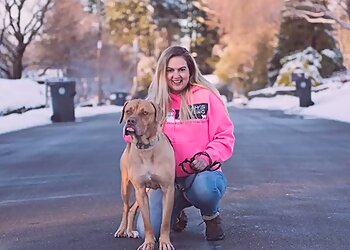 New Haven Dog Walkers Sarah's Pet Sitting