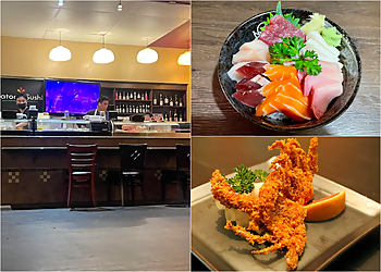 Fremont Sushi Satomi Sushi